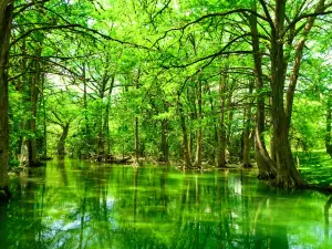 Blue Hole Regional Park