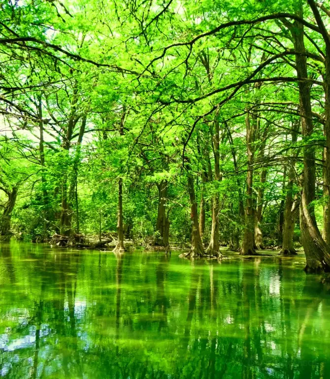 Wimberley