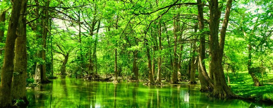 Blue Hole Regional Park