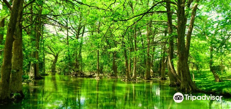 Wimberley Travel Guide 2026: Top Attractions, Things to do & Itinerary