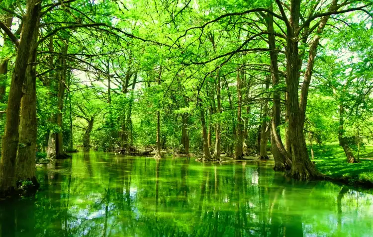 Wimberley