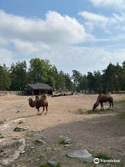 科爾馬爾登野生動物園