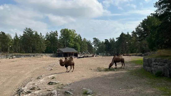 科爾馬爾登野生動物園