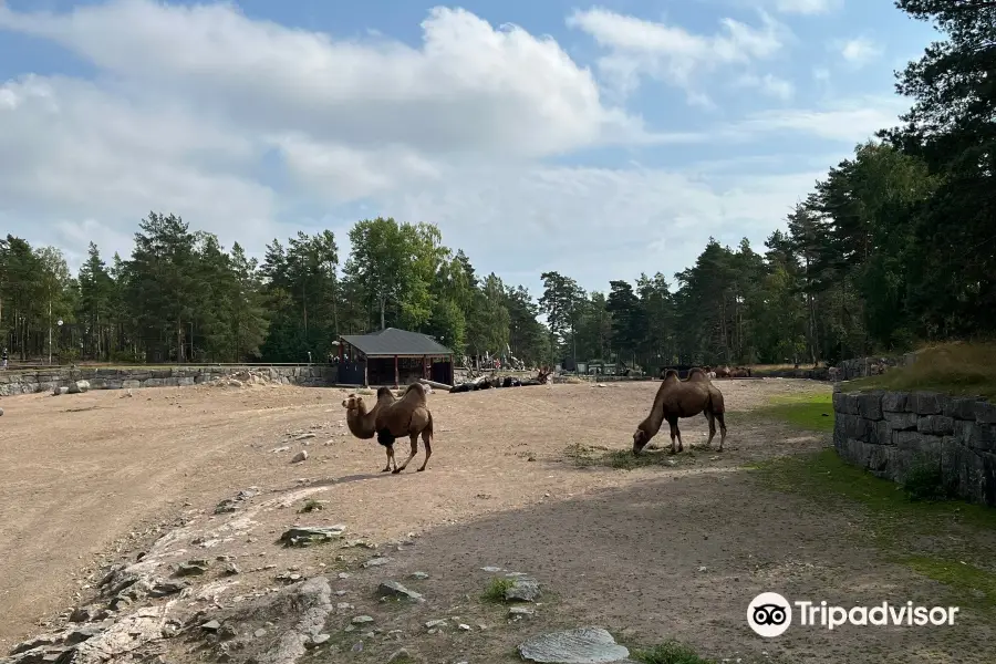 科爾馬爾登野生動物園