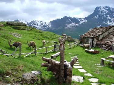 Gran Paradiso National Park