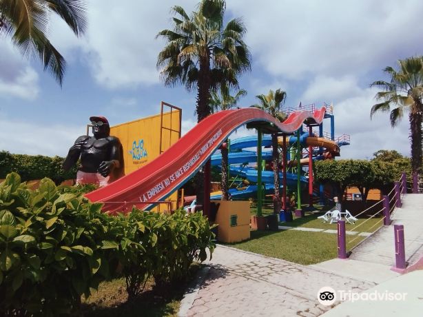 AQUATIC PARK WATER EYE TEMIXCO