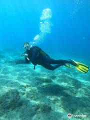 Diving Atlantis Tenerife