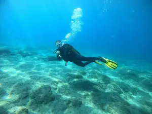 Diving Atlantis Tenerife