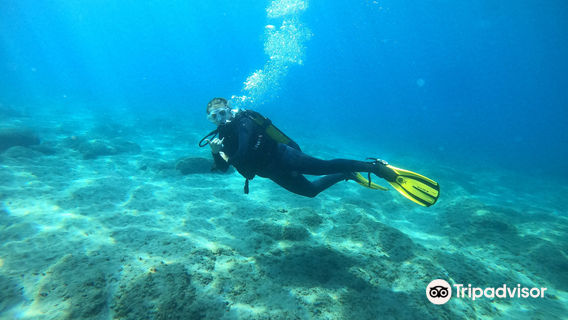 Diving Atlantis Tenerife