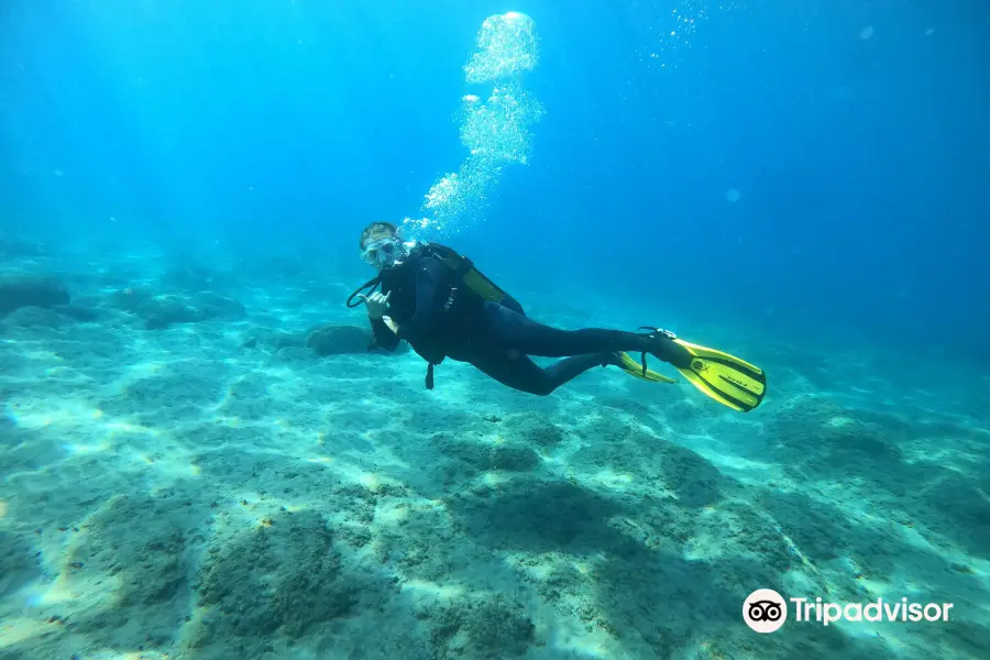 Diving Atlantis Tenerife