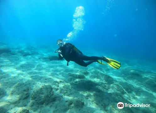 洛斯克里斯蒂亞諾斯