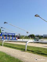 Coral, Brighton & Hove Greyhound Stadium