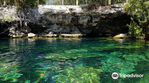 Cenote Cristalino