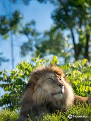 フォートウェインふれあい動物園