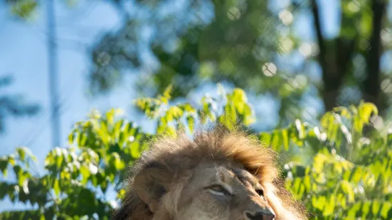 フォートウェインふれあい動物園