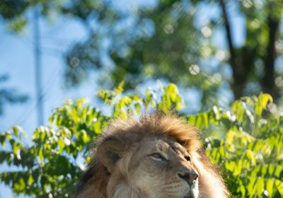 Fort Wayne Children's Zoo