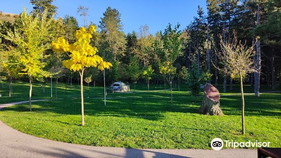 Rinia Park