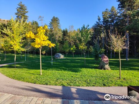 Rinia Park