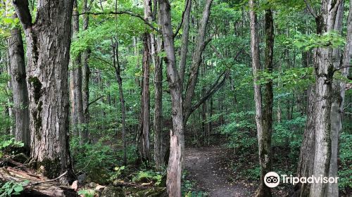 Pretty River Valley Provincial Park