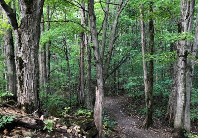 Pretty River Valley Provincial Park