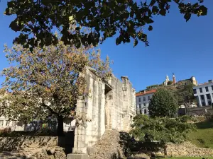 Jardin Archéologique de Cybèle Vienne