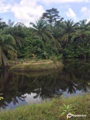 Lufasi Nature Park Lagos