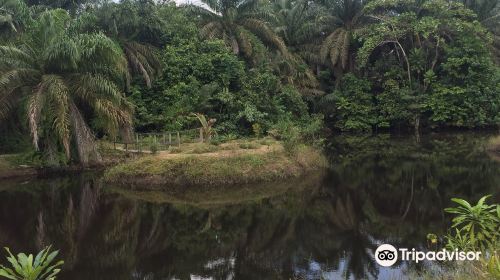 Lufasi Nature Park Lagos