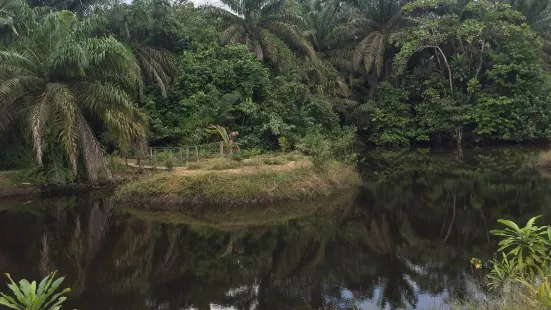 Lufasi Nature Park Lagos