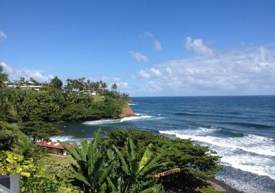 Honoli'i Beach Park