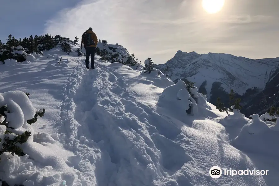 Wasootch Ridge Trail