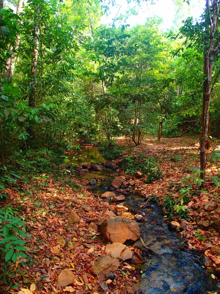 Hotels in Colinas do Sul