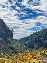 Trotters Gorge Scenic Reserve