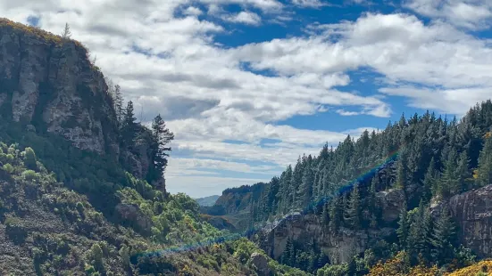 Trotters Gorge Scenic Reserve