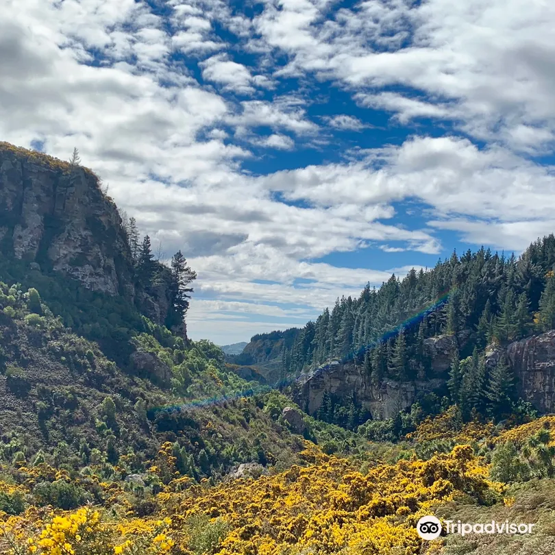 1_Trotters Gorge Scenic Reserve