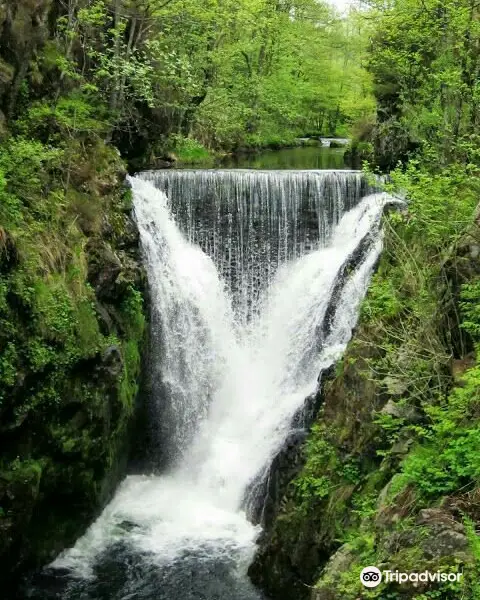 Cascade du Saut de L'Ognon