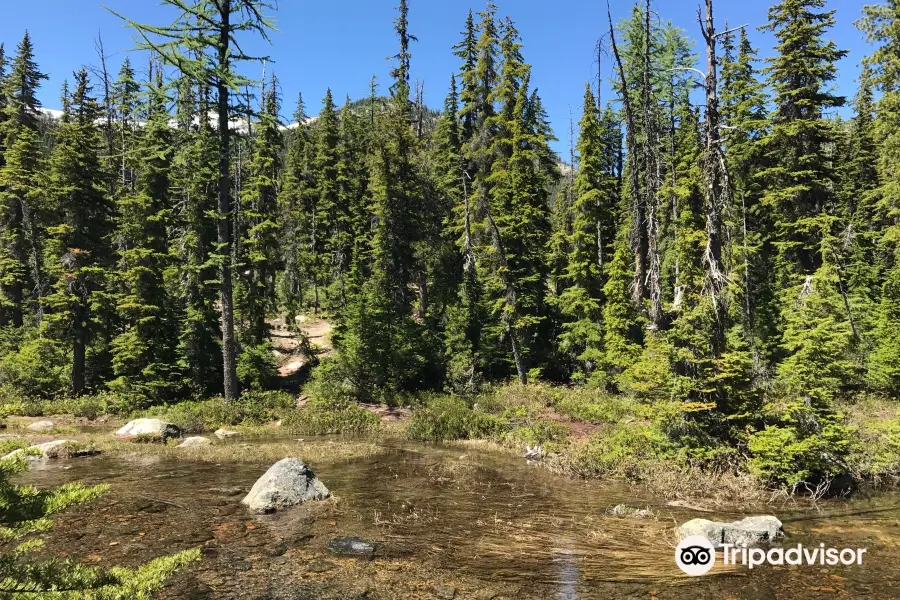 Cutthroat Lake