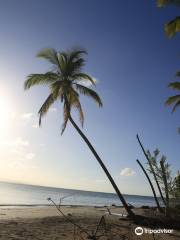 Playa Costa Esmeralda