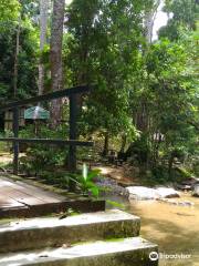 Hutan Lipur Sungai Bantang