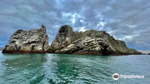 Ireland's Eye Ferries