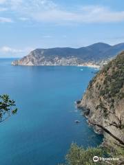 Cinque Terre Trails