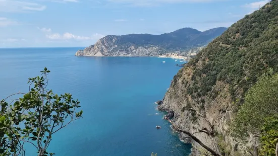 Cinque Terre Trails