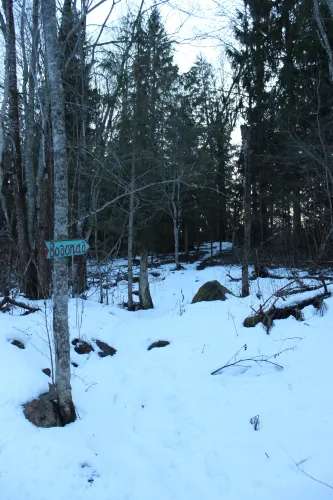 Lyubytinsky District