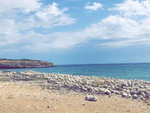 Spiaggia di Gallina