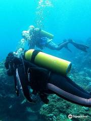 Scuba Safaris Trincomalee