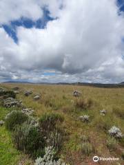 Kitulo National Park