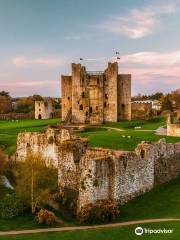 Trim Castle