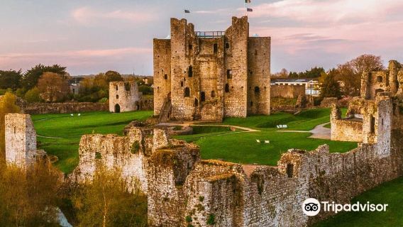 Trim Castle