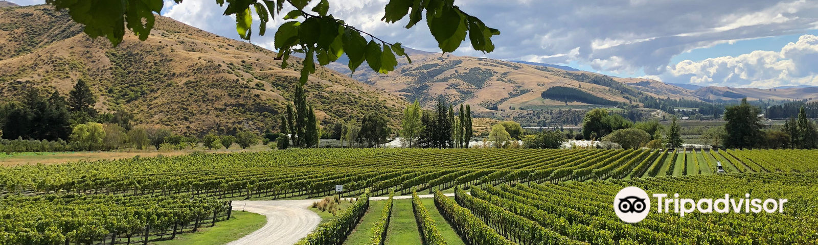 Kawarau GorgeTours