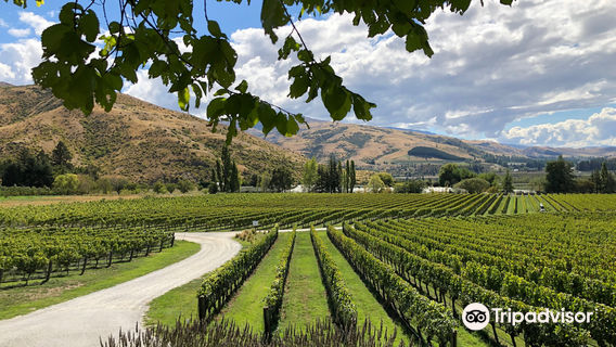 Felton Road Wines