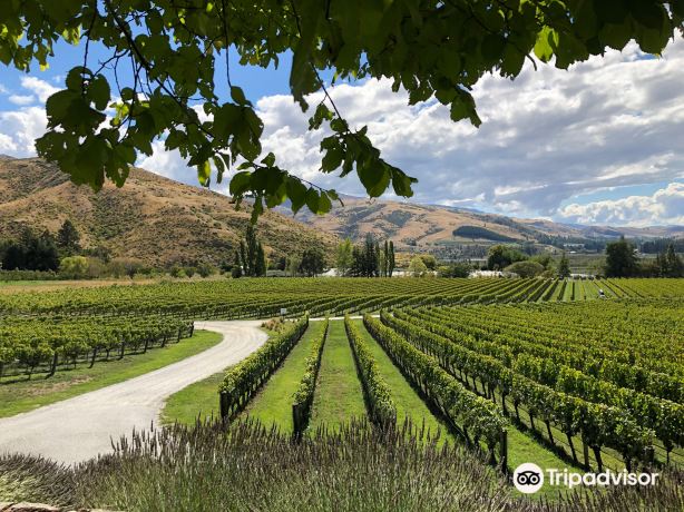 Kawarau Gorge